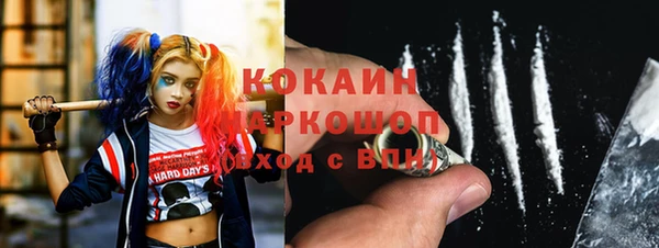 винт Карпинск
