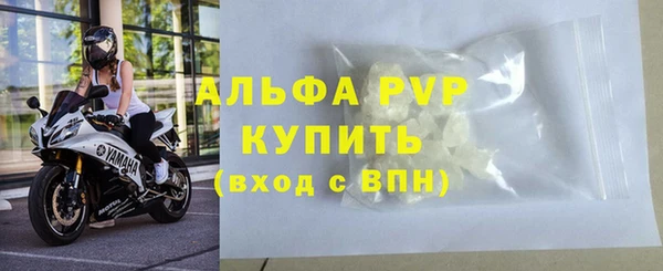 крисы Каменка