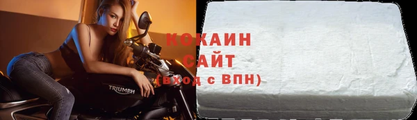 крисы Каменка