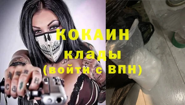 крисы Каменка