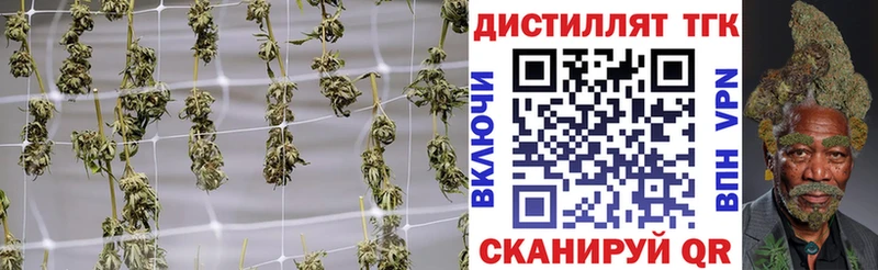 Купить Верея ТГК THC oil