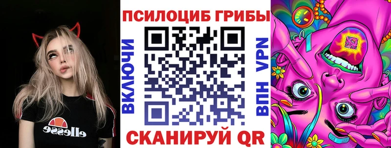 Купить  Верея  Псилоцибиновые грибы Magic Shrooms 